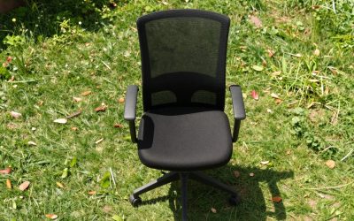 Best Office Chairs for Back Pain 2026: Lumbar Picks